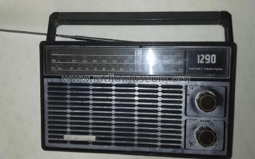 Portable 2 Band Radio 1290 SX1290 /38; Phonola SA, FIMI; (ID = 2507213) Radio