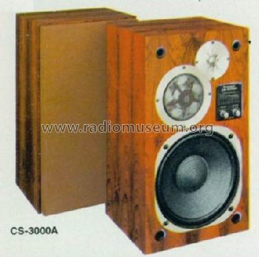 CS-3000A; Pioneer Corporation; (ID = 560139) Speaker-P
