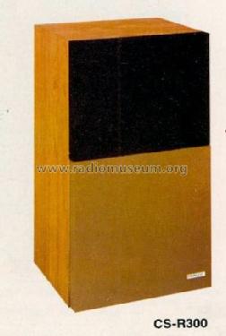 CS-R300; Pioneer Corporation; (ID = 560171) Speaker-P