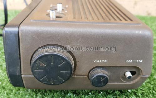 AM/FM Digital Clock Radio DCR-8; Pye Industries Ltd (ID = 2965299) Radio
