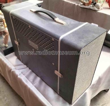 Black Box TS1 Ch= R24-1A; Pye Industries Ltd (ID = 3134172) Radio