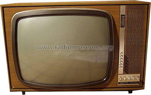 Senator Electronic FT492 ; QUELLE GmbH (ID = 657575) Television