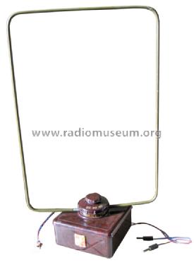 Rex Cadre Antenne ; Radio-Contrôle; Lyon (ID = 1267080) Antenna