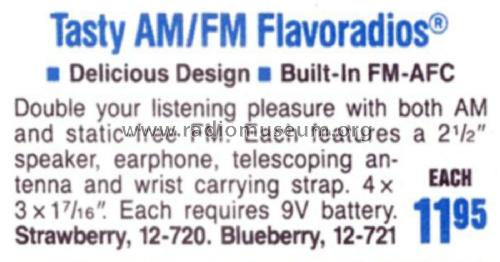 Realistic Flavoradio 12-720; Radio Shack Tandy, (ID = 1768620) Radio