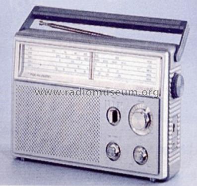 Realistic DX-65 12-782; Radio Shack Tandy, (ID = 1331849) Radio