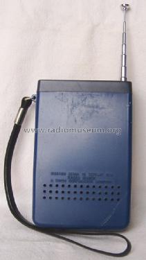 Realistic Mini Weatheradio 12-162; Radio Shack Tandy, (ID = 1586532) Radio