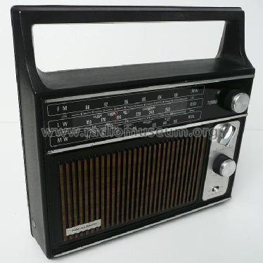 Realistic Portable Radio 12-9111; Radio Shack Tandy, (ID = 1890730) Radio