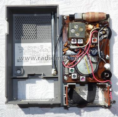 FM GO Portable Receiver D1090 /18; Radiola marque (ID = 2110456) Radio