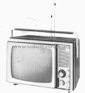 RA2860; Radiola marque (ID = 293816) Televisore