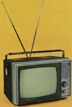 RA2860; Radiola marque (ID = 388230) Television