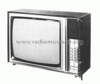 RA6113; Radiola marque (ID = 300879) Televisore