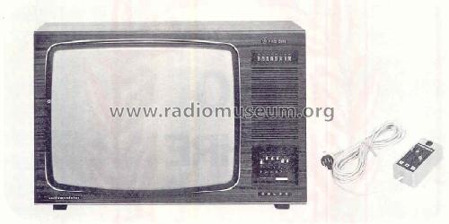 FFT-76-110X; Radione RADIO (ID = 888466) Television