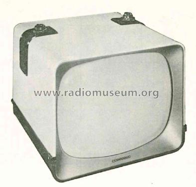 UM-2187 Ch= 21T32; Raytheon Mfg. Co.; (ID = 1911063) Television