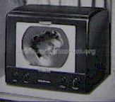T-121 Ch= KCS34C; RCA RCA Victor Co. (ID = 460523) Fernseh-E