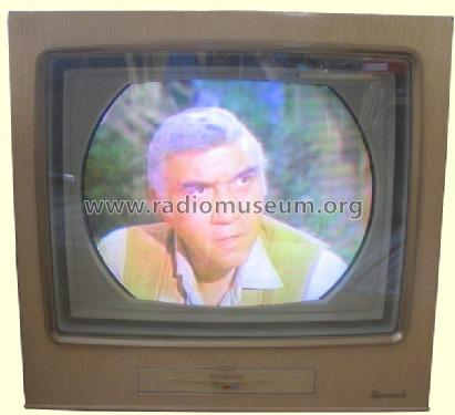 The Aldrich Color Special 21-CS-781 Ch= CTC-5; RCA RCA Victor Co. (ID = 237139) Television