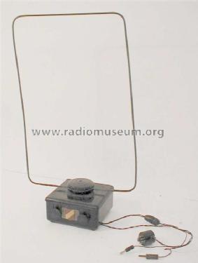 Rex Cadre Antenne P2; Radio-Contrôle; Lyon (ID = 99131) Antena