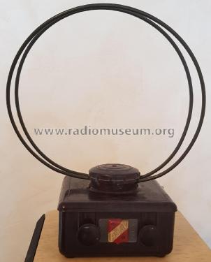 Rex Cadre Antenne A1; Radio-Contrôle; Lyon (ID = 2538849) Antenny