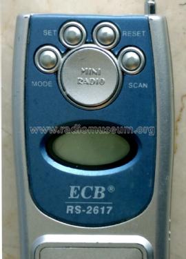 ECB Mini Radio RS-2617; Risheng Electronic (ID = 2524833) Radio