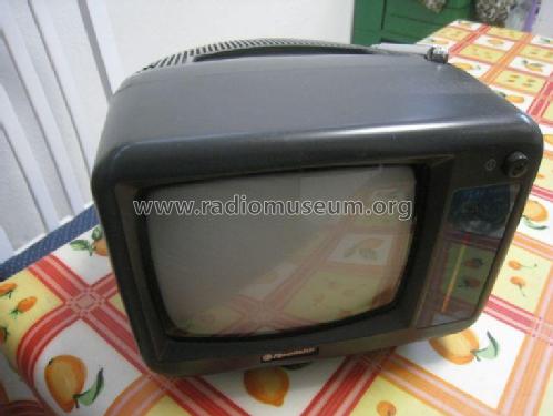 Black and white TV TVM-5002E; Roadstar; Japan (ID = 1916107) Television