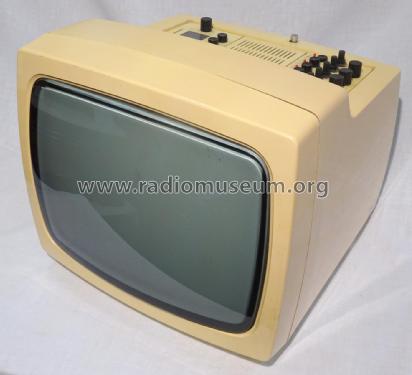 COMBI-VISION 310 CV310; Robotron-Elektronik (ID = 3219739) TV Radio