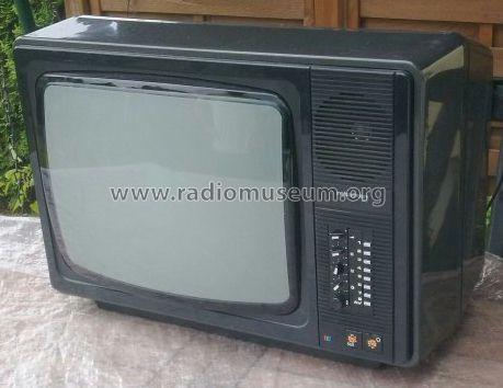 Color-Vision RC6093; Robotron-Elektronik (ID = 1257561) Televisión