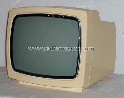 Combi Vision 3101; Robotron-Elektronik (ID = 734938) Television