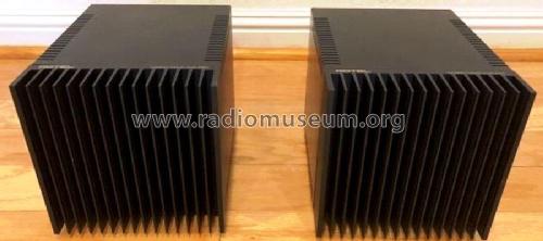 Mosfet Mono Amplifier RMB-100; Roland Electronics (ID = 2362533) Ampl/Mixer