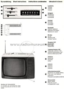 Electronic Pro FP 30; SABA; Villingen (ID = 2048006) Television