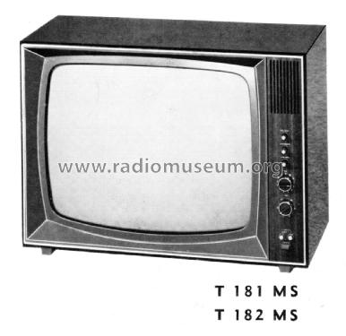 Schauinsland T181/MS; SABA; Villingen (ID = 2939630) Television