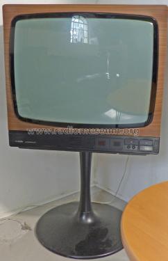 Ultracolor Pro 6773 telecommander; SABA; Villingen (ID = 2781389) Television