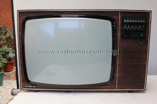 Salora Luxor 1C3Y; Salora; Salo (ID = 1833548) Television