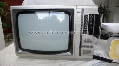 CB-338F; Samsung Electrónica (ID = 1614246) Télévision