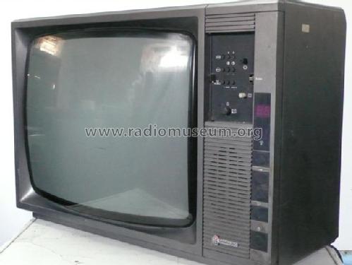 CB-514R; Samsung Electrónica (ID = 1639942) Televisore