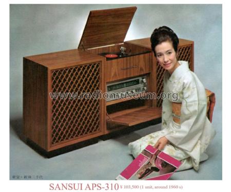APS-310; Sansui Electric Co., (ID = 2879557) Radio