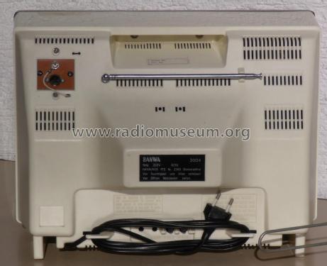 3004; Sanwa (ID = 1795424) Television