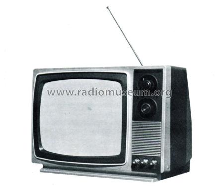 SW-Fernsehportable 3005; Sanwa (ID = 2156350) Television