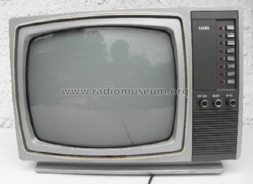 Transistor TV 3007; Sanwa (ID = 943378) Televisión