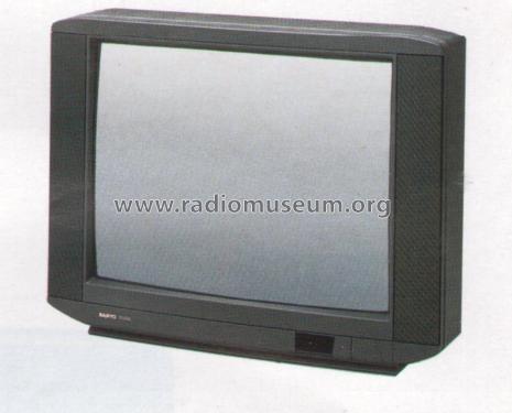 CEP2876; Sanyo Electric Co. (ID = 2058804) Television