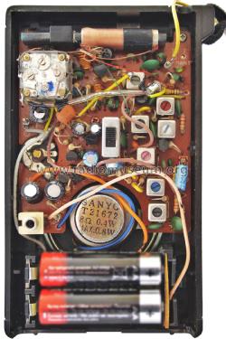AM/FM 2-Band Portable RP5055; Sanyo Electric Co. (ID = 1967817) Radio