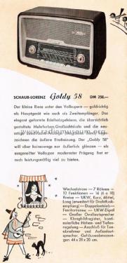 Goldy 58 3020; Schaub und Schaub- (ID = 1762528) Radio