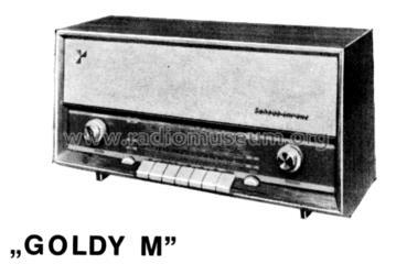 Goldy M 24054176/24054376; Schaub und Schaub- (ID = 41524) Radio