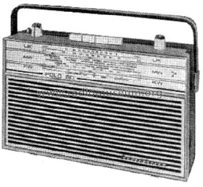 Polo 80K 130267 polargrau; Schaub und Schaub- (ID = 1296172) Radio