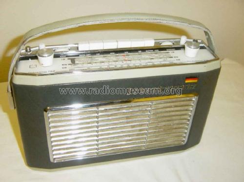 Touring T60 Automatik 11014975 anthrazit-grau; Schaub und Schaub- (ID = 318231) Radio