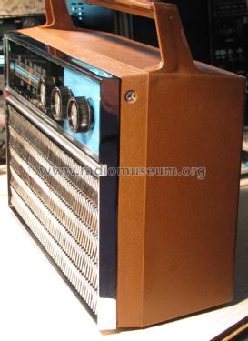 Silvertone 6223 Ch= 528.63131 Order=57P 6223; Sears, Roebuck & Co. (ID = 2714034) Radio