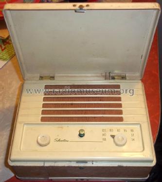 Silvertone 7165 Ch= 101.823-1; Sears, Roebuck & Co. (ID = 1373371) Radio