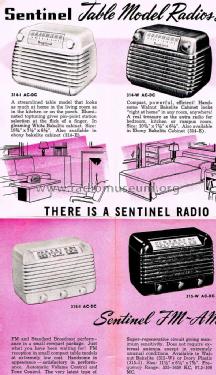 314-E ; Sentinel Radio Corp. (ID = 1349800) Radio