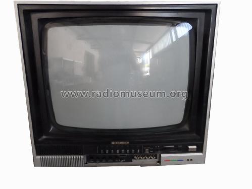 Z647-1A; Shanghai 上海华丰无线电厂 (ID = 1670967) Television