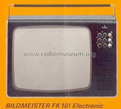 Bildmeister Electronic FK181; Siemens & Halske, - (ID = 1339144) Television