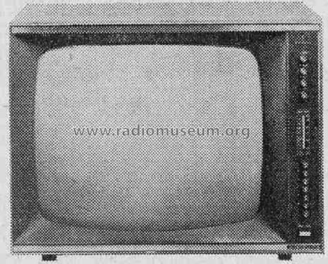 Bildmeister FT95; Siemens & Halske, - (ID = 301770) Television