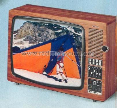 Interfunk Bildmeister Superelectronic FC438; Siemens & Halske, - (ID = 1756573) Television